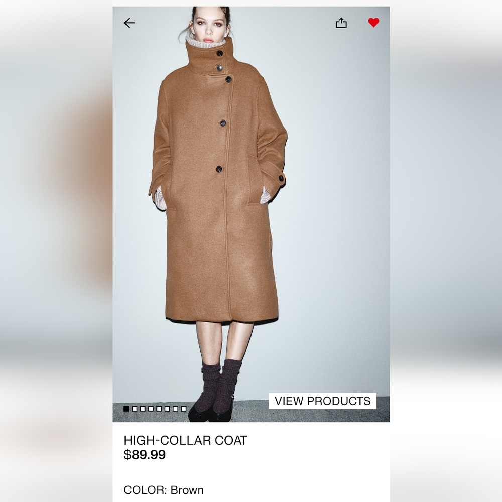 ISO- High-Collar Brown Coat
